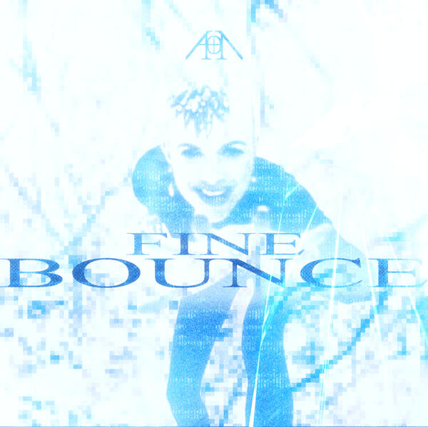 Fine Bounce